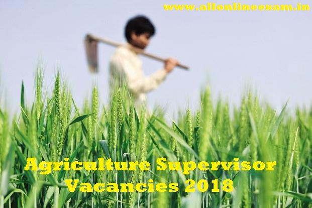 Agriculture Supervisor Vacancies 2018